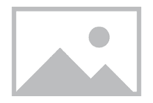 Pulvent Footer Logo